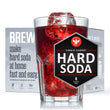 Load image into Gallery viewer, 1 Gal. Hard Soda Starter Kit Extra
