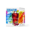 Load image into Gallery viewer, 1 Gal. Soda Pop Starter Kit