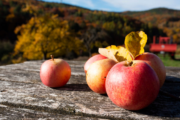 2 Gallon Cider Kits