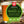 2 Gal. Craft Beer Brewing Kit Plus
